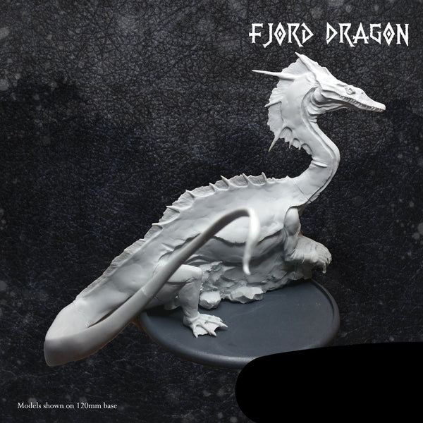 Fjord Dragon