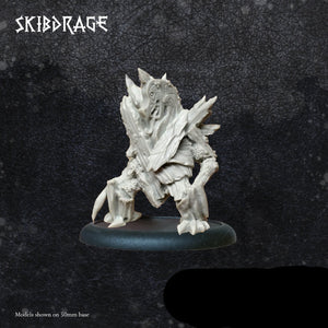 Skibdrage