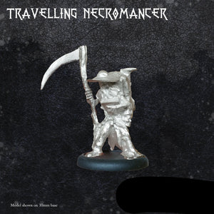 Travelling Necromancer