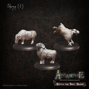 Sheep (3)