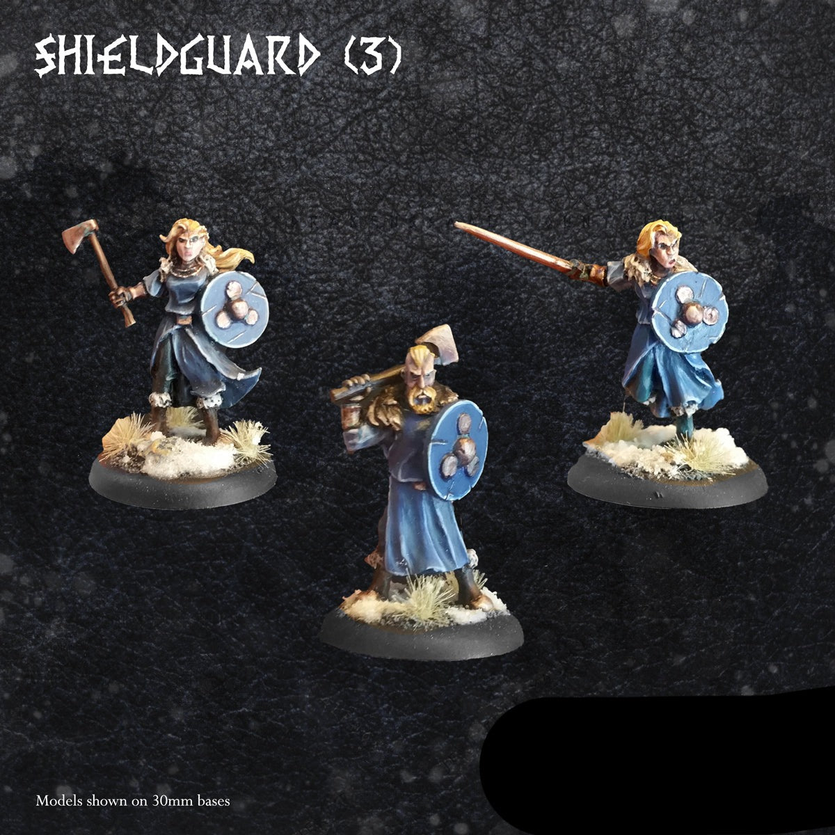 Shieldguard (3)